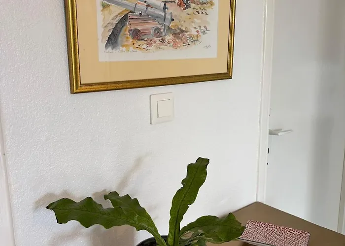 Vols De Nuit T3 Lumineux Terrasse 4 Pers Appartement *