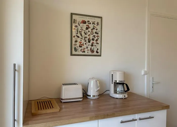 Vols De Nuit T3 Lumineux Terrasse 4 Pers * Toulouse